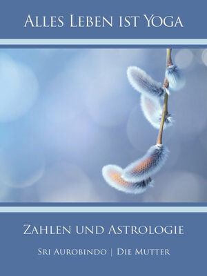 cover image of Zahlen und Astrologie